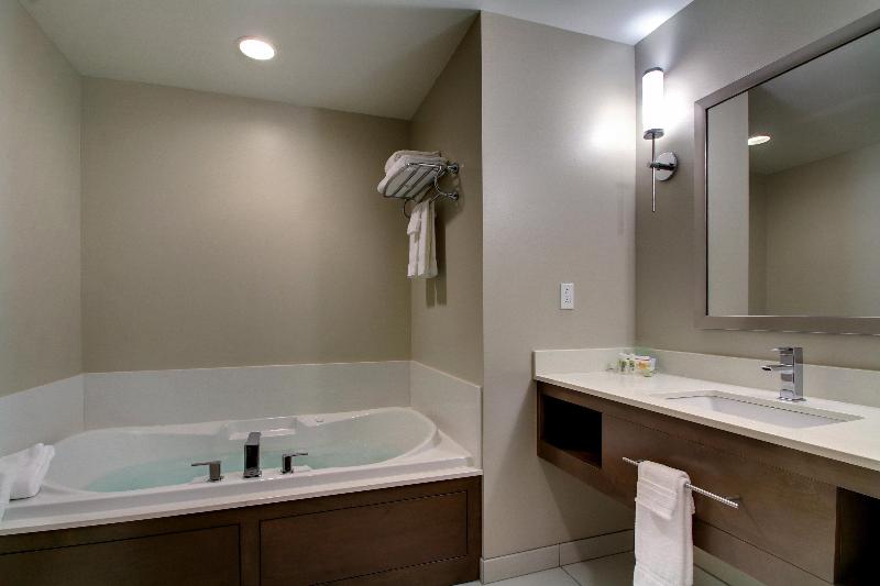 Holiday Inn Hotel and Suites Peoria At Grand Prair photo 24