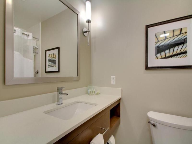 Holiday Inn Hotel and Suites Peoria At Grand Prair image