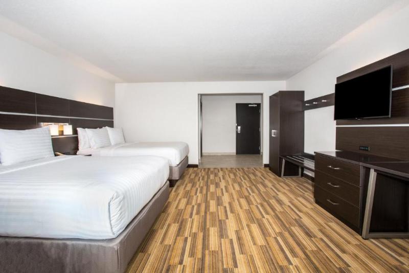 Holiday Inn Exp & Sts Rapid City - Rushmore South photo 18