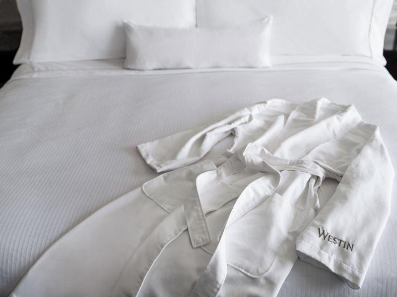The Westin Baltimore Washington Airport - BWI image