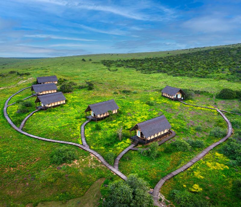 Gorah Elephant Camp — general view