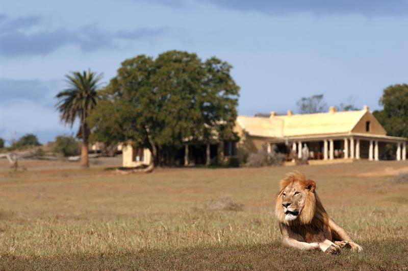 Gorah Elephant Camp — exterior view