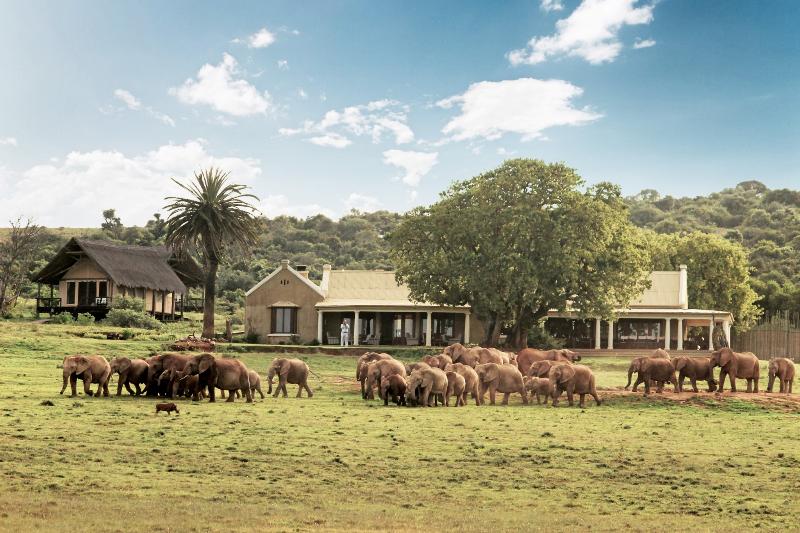 Gorah Elephant Camp — general view