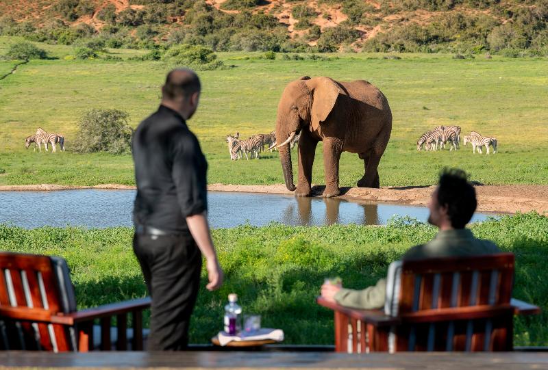 Gorah Elephant Camp