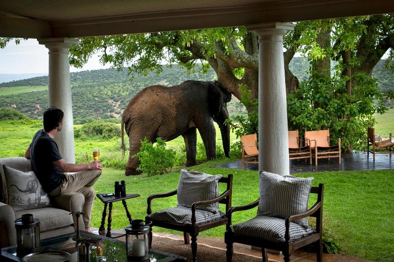 Gorah Elephant Camp