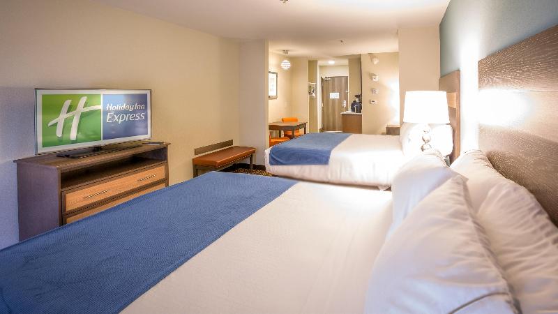 Holiday Inn Express Wichita South photo 11