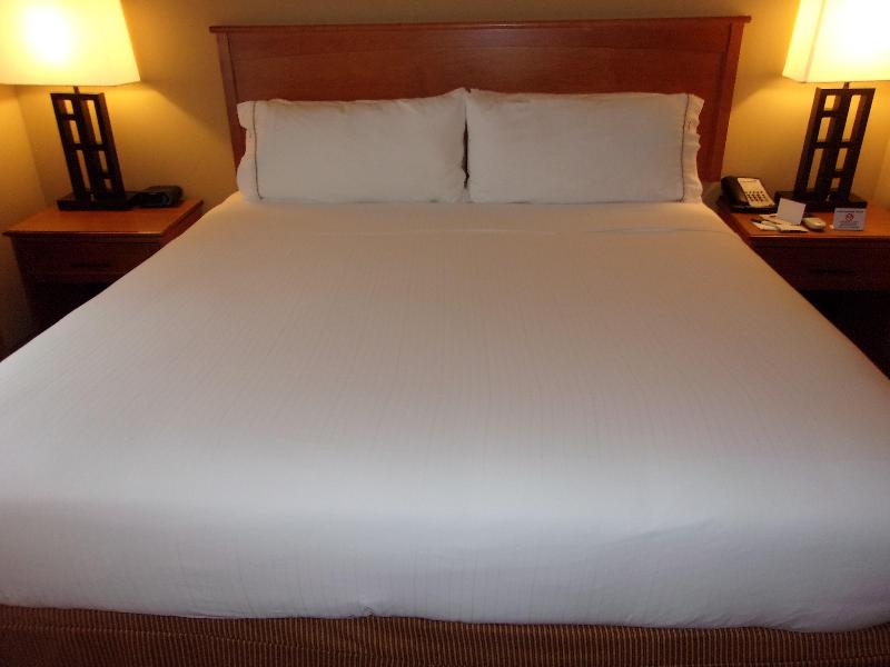 Holiday Inn Express & Suites Chicago West Rosselle photo 19