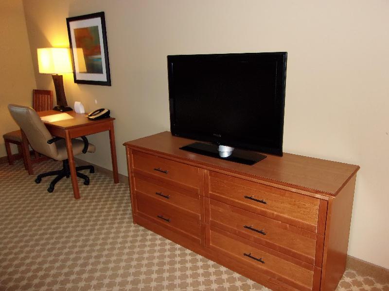 Holiday Inn Express & Suites Chicago West Rosselle photo 20