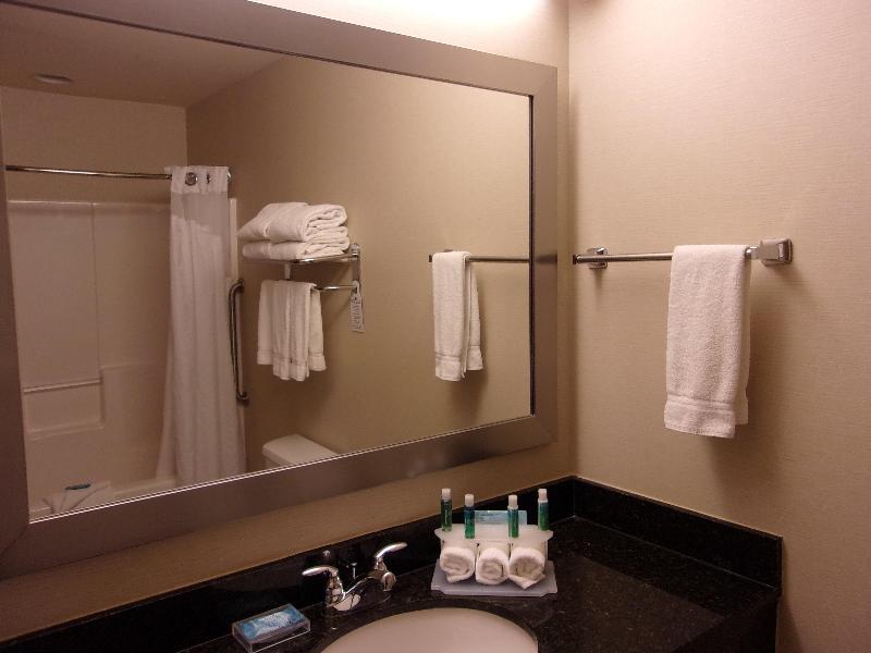 Holiday Inn Express & Suites Chicago West Rosselle image