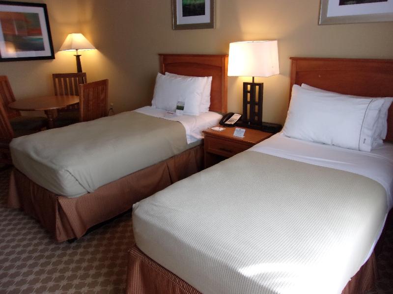 Holiday Inn Express & Suites Chicago West Rosselle image