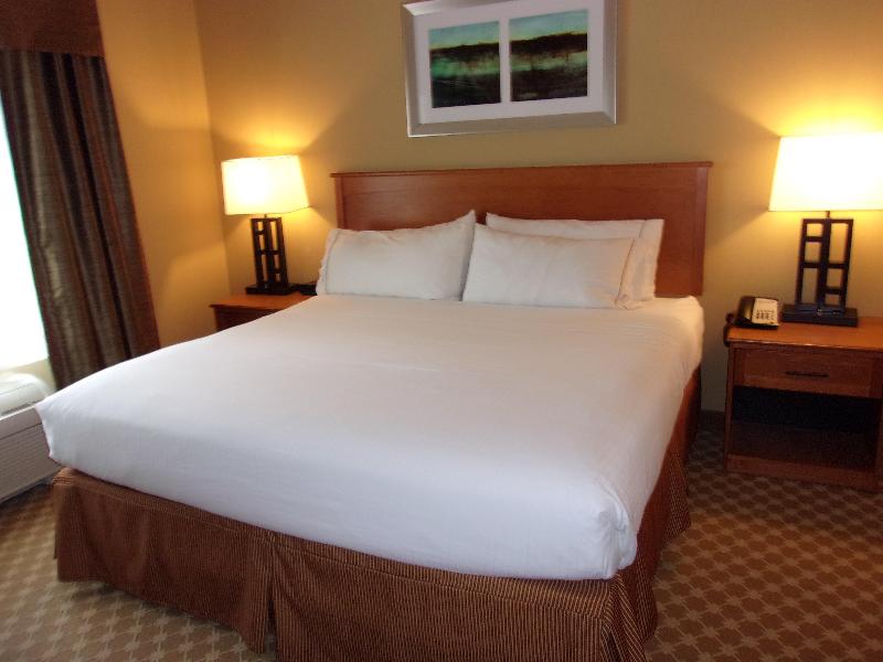 Holiday Inn Express & Suites Chicago West Rosselle photo 21