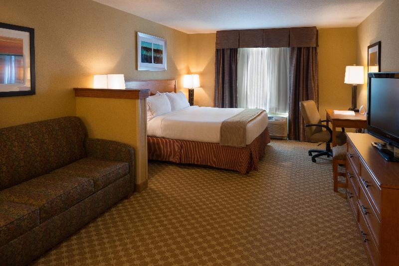 Holiday Inn Express & Suites Chicago West Rosselle photo 22