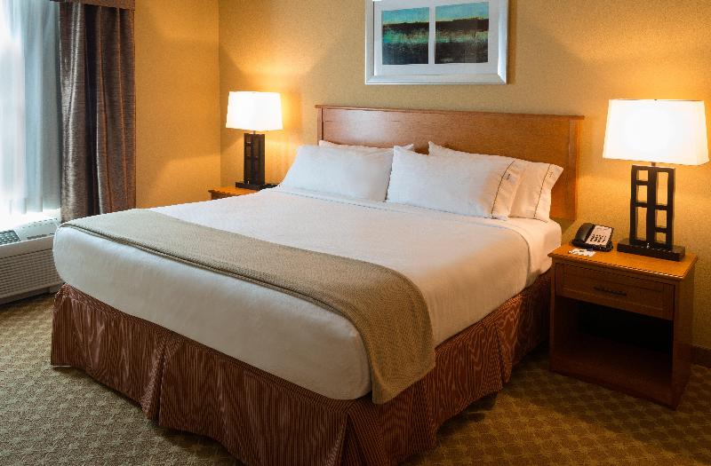 Holiday Inn Express & Suites Chicago West Rosselle photo 23