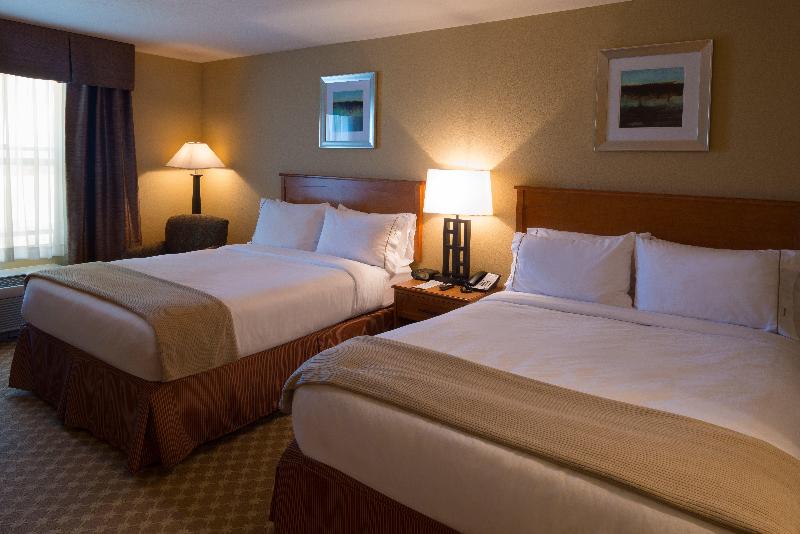 Holiday Inn Express & Suites Chicago West Rosselle image