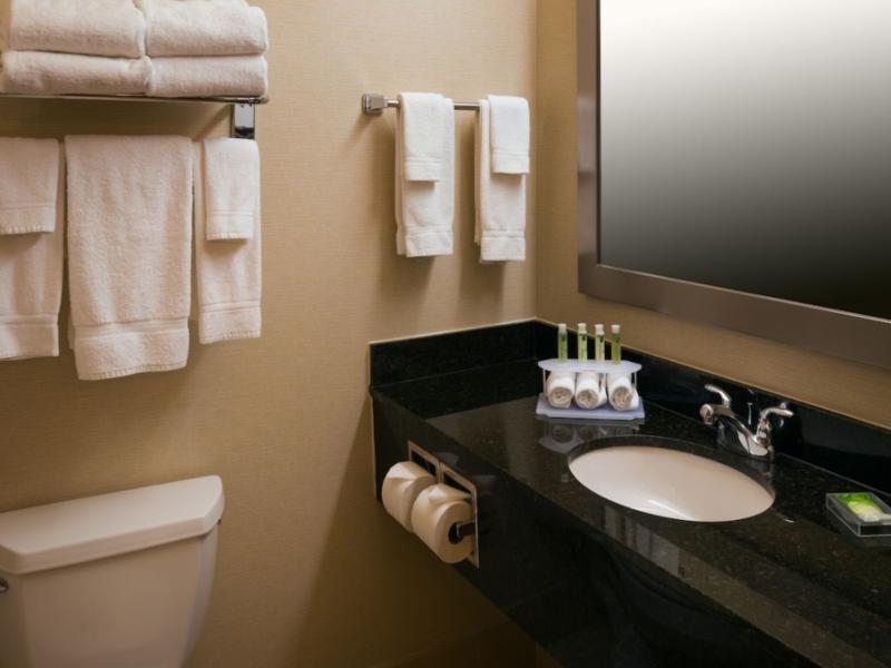 Holiday Inn Express & Suites Chicago West Rosselle image