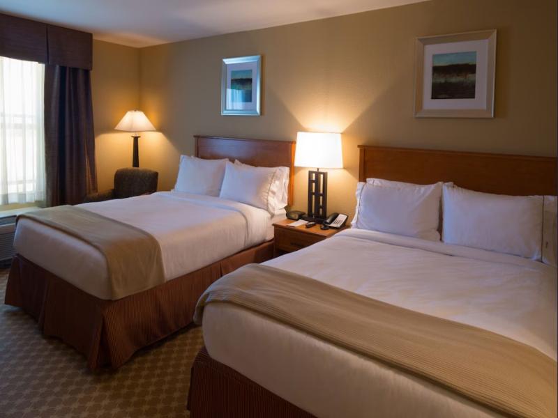 Holiday Inn Express & Suites Chicago West Rosselle image