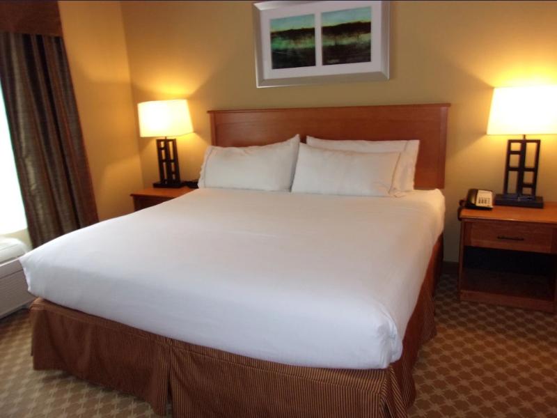 Holiday Inn Express & Suites Chicago West Rosselle image