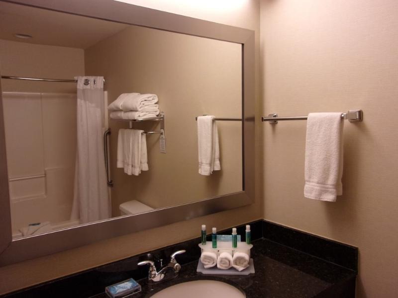 Holiday Inn Express & Suites Chicago West Rosselle image