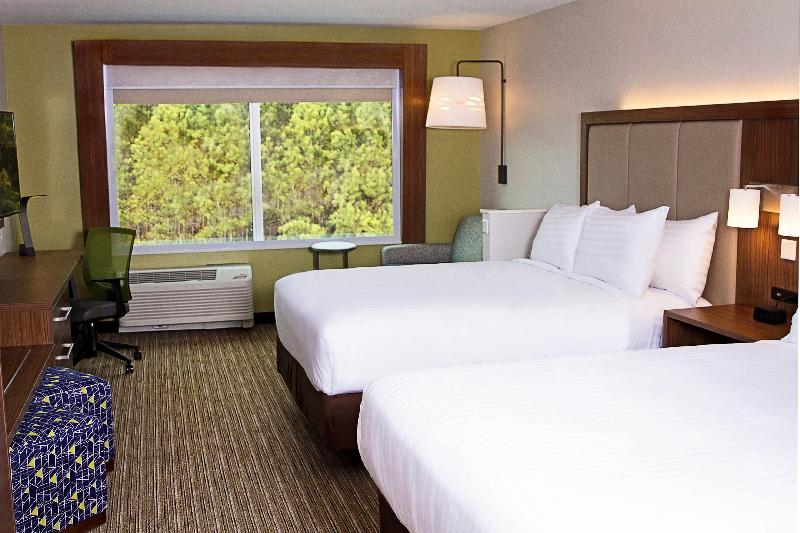 Holiday Inn Express & Suites Greenwood Mall image