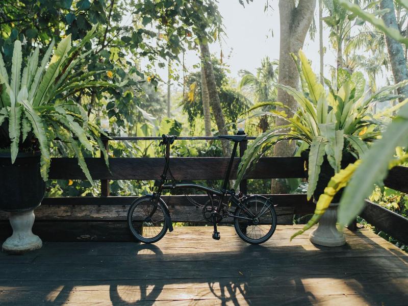 Alam Penari Resort Ubud image