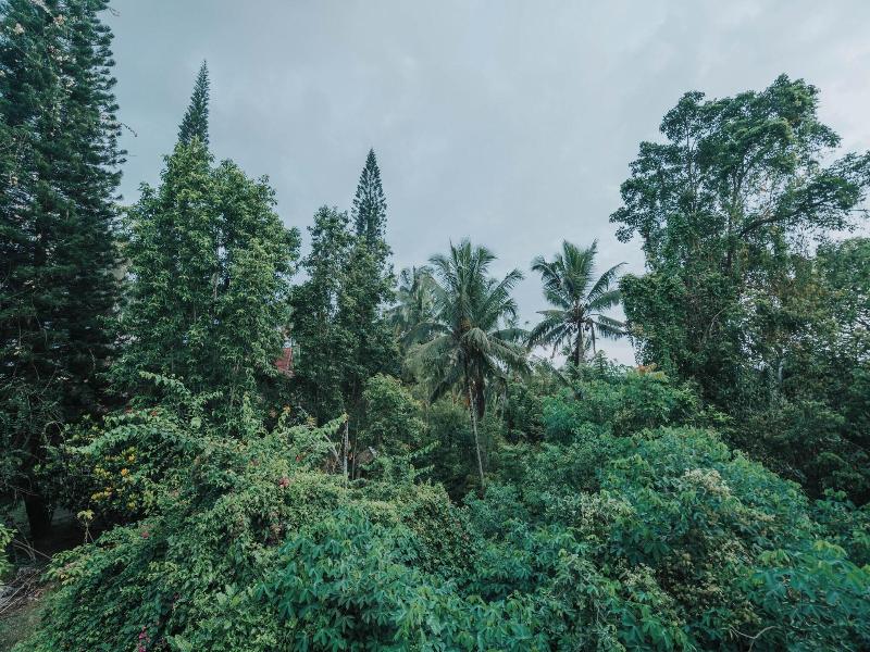 Alam Penari Resort Ubud image