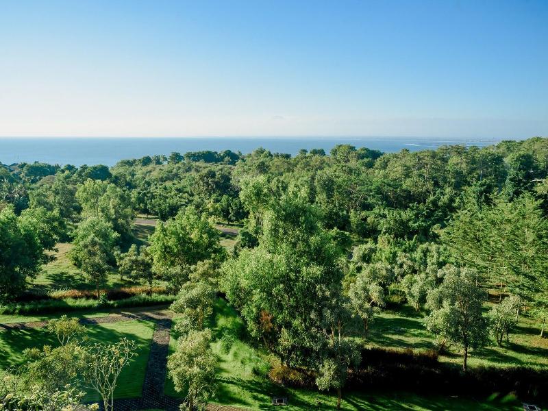 Luxury Apartment at AYANA Residences image