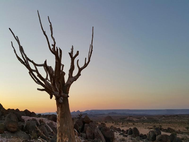 Tutwa Desert Lodge image