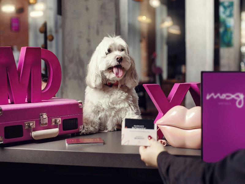 MOXY Tbilisi image