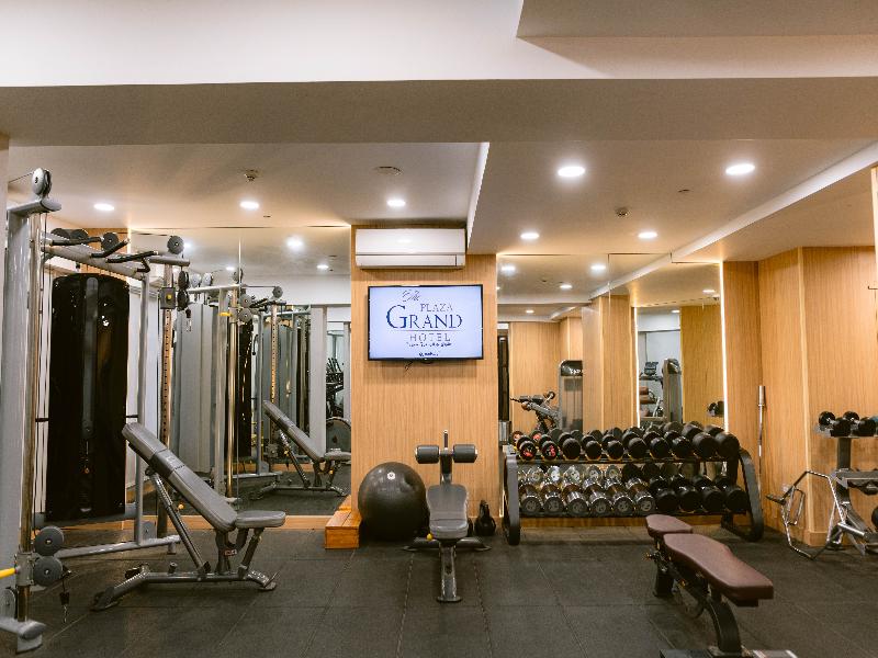 The Grand Plaza Hotel Alexandria image