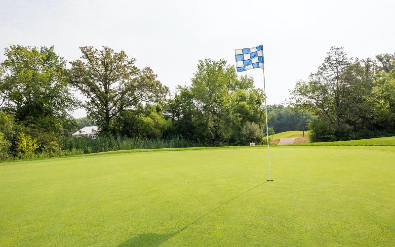 Holiday Inn Club Vacations Fox River Resort image