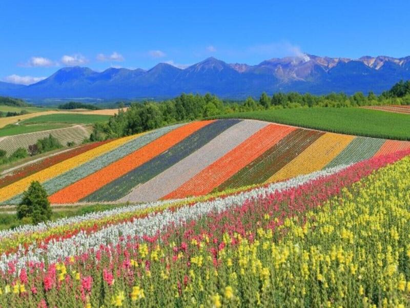 Furano Hops Hotel