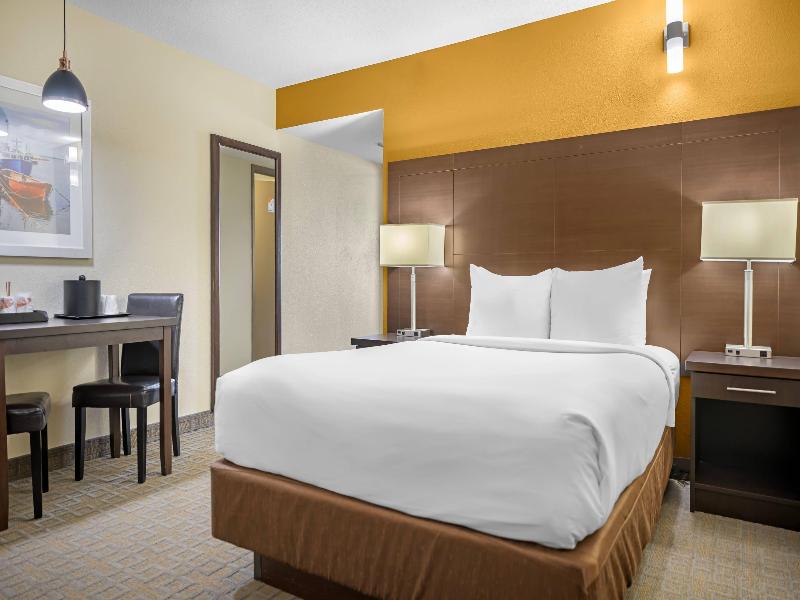 Quality Inn & Suites Bathurst Area image