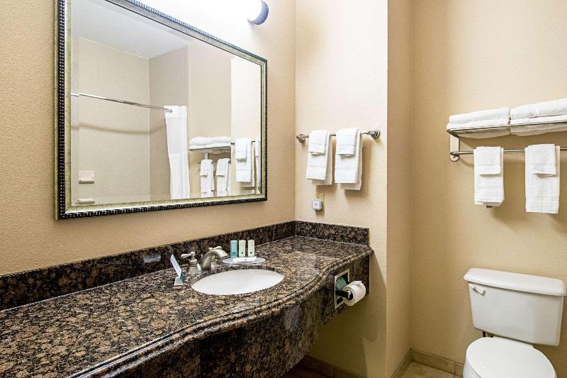 Quality Inn & Suites Robstown image