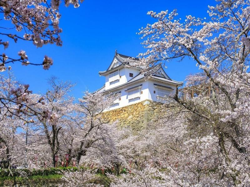 Yunogo Bishunkaku image
