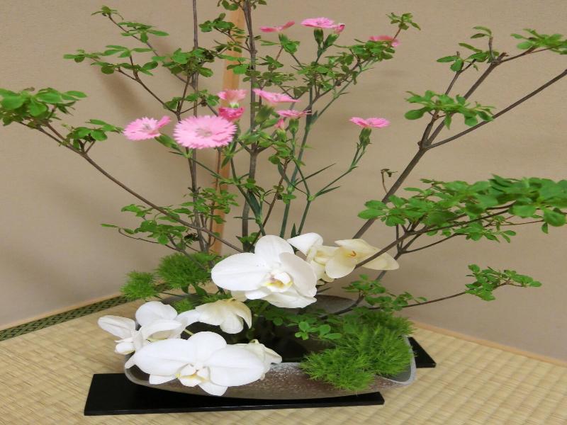 Nagomiyado Towa image