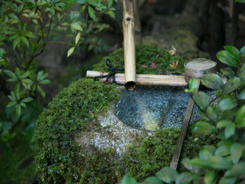 Yoshi-Ima image