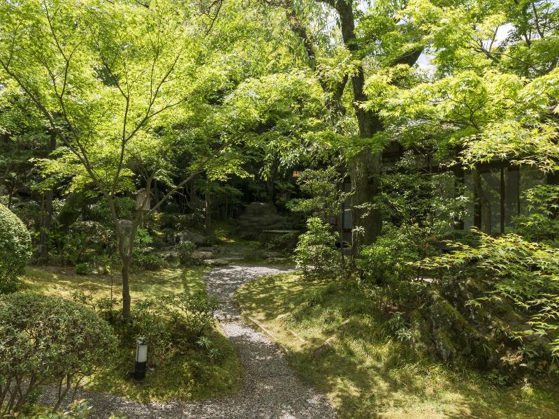 Kikusui image