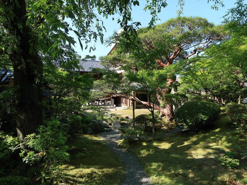 Kikusui image