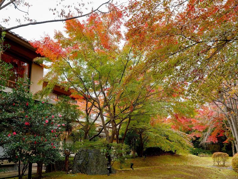 Kyoto Ranzan image