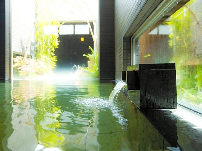 Kansai Airport Spa Hotel Garden Palace image