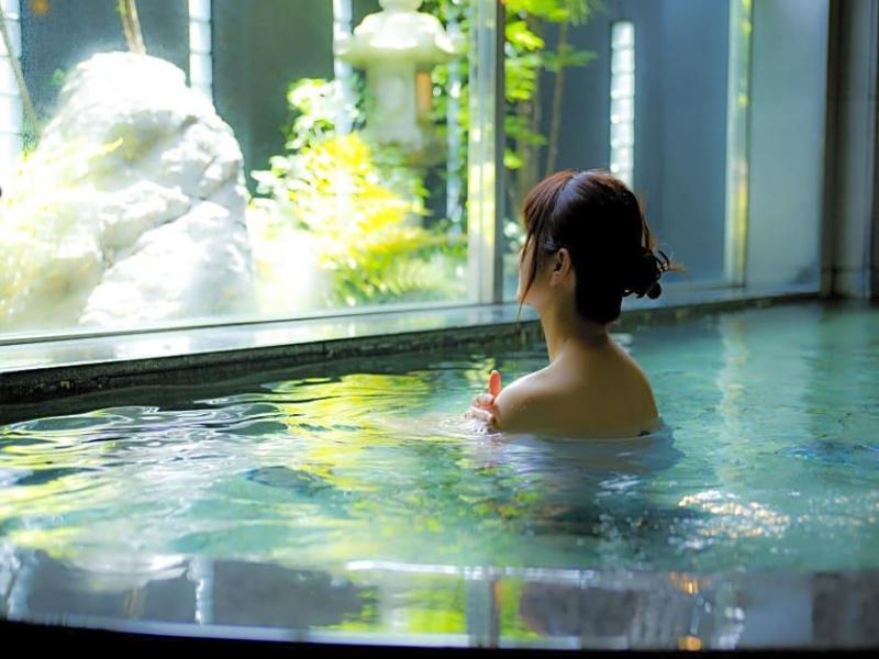 Kansai Airport Spa Hotel Garden Palace image