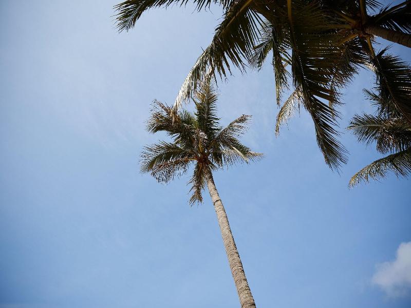 Moon Beach Palace Hotel image