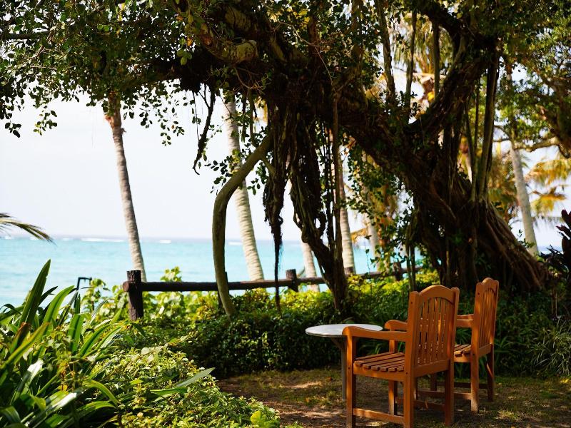 Moon Beach Palace Hotel image