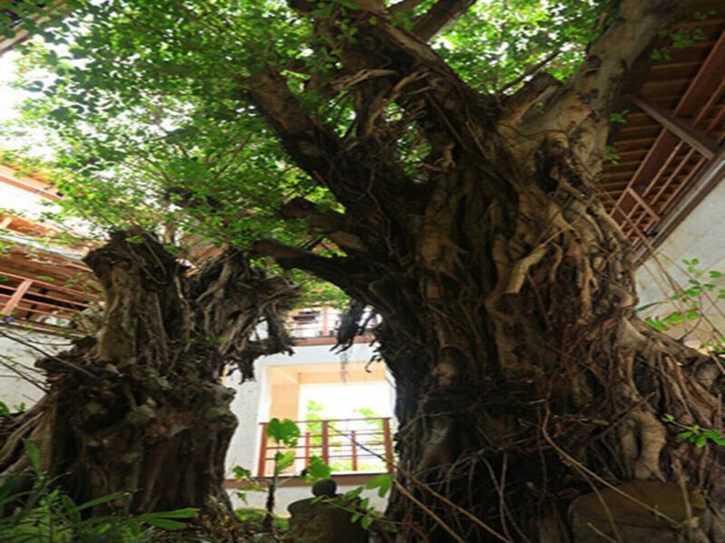 Hyakuna Garan image
