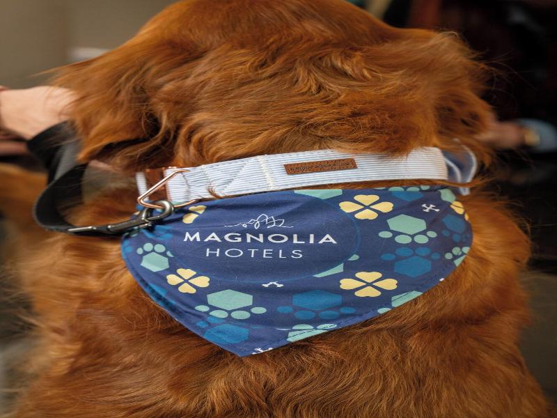 Magnolia Hotel St Louis, a Tribute Portfolio image