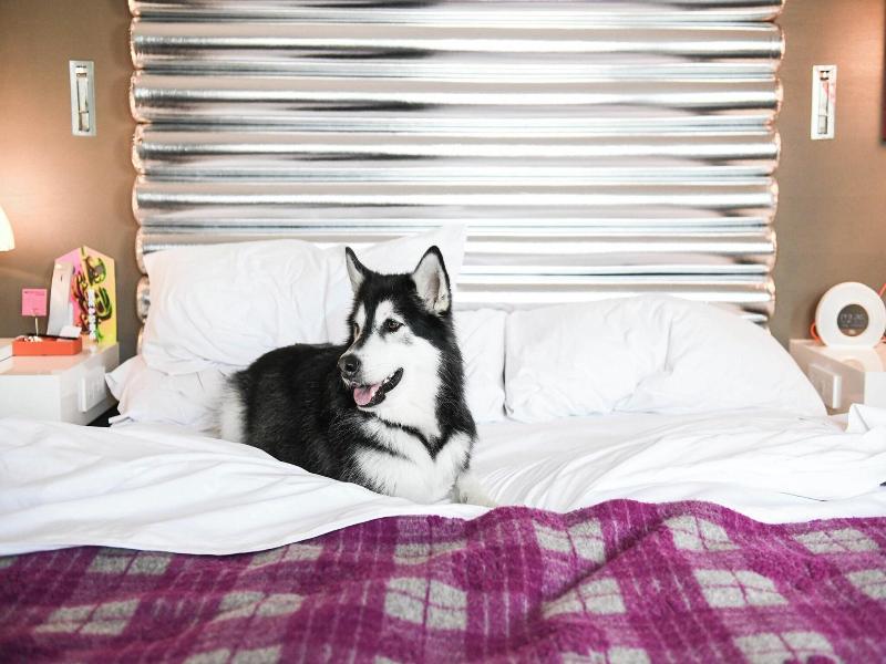 QUADRUPLE TWO QUEEN BEDS