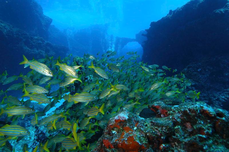 Vila Mar Pousada image