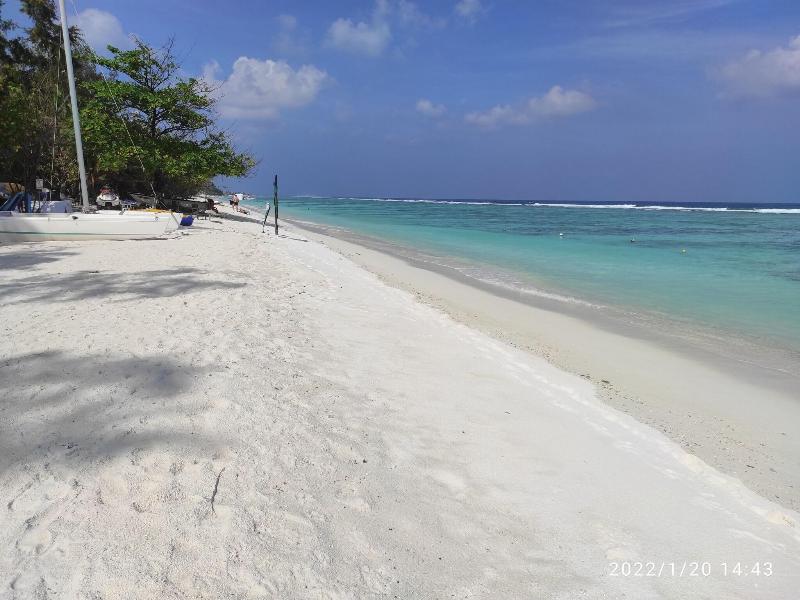 Planktons Beach image