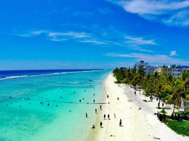 Planktons Beach image