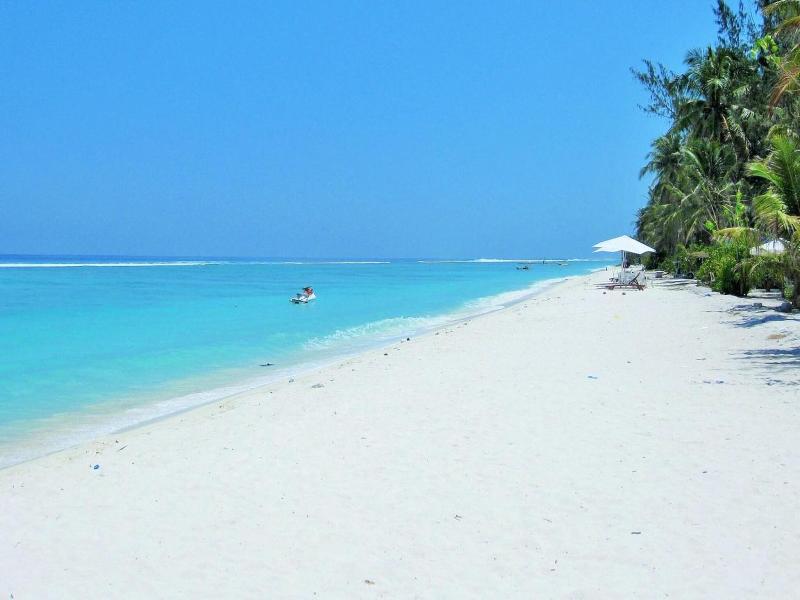 Planktons Beach image